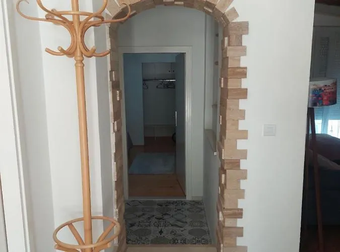 Cvita Ζαντάρ