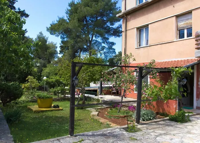 Cvita Ζαντάρ